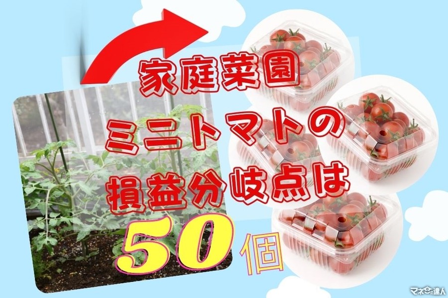 【家庭菜園で元をとる】ミニトマトの損益分岐点は「50個」　お世話のコツ3つを実体験から解説