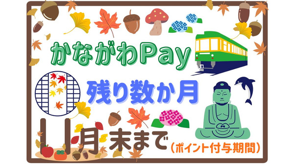 【神奈川県】今からでも間に合う「かながわPay」のおすすめの使い方と注意点 画像