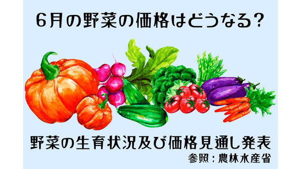 6月の野菜の価格はどうなる？　農林水産省より、野菜の生育状況及び価格見通し発表 画像