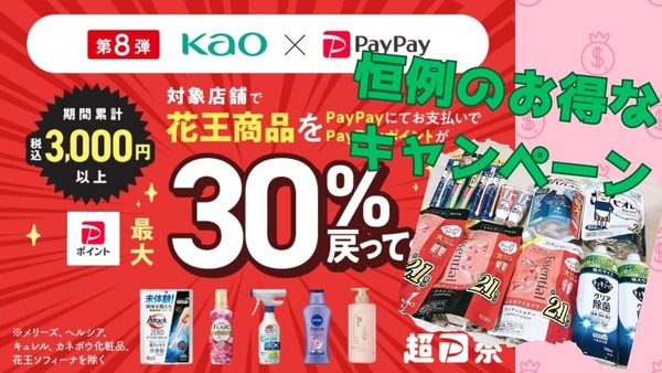 花王×PayPay（12/31まで）30％還元を達成した節約主婦の戦利品公開　対象外商品には注意！ 画像