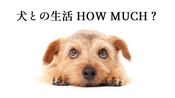 「捨て犬ポチとの20年」一生分の費用約300万円の内訳を公開 画像