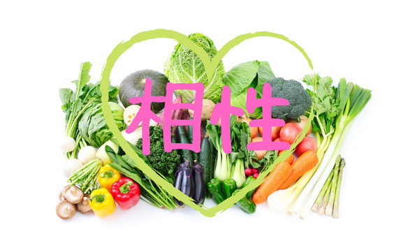 野菜の相性を知ると、献立がたてやすい。4人分の食費を3万円以下にした「野菜の選び方」