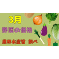 【3月の野菜の価格】レタス(前半）・ばれいしょが安い！農林水産省より、野菜の生育状況及び価格見通し発表
