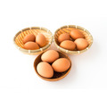 「卵は1つの籠に盛るな」複数のバランス型投信に投資