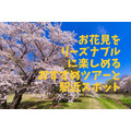 【関東】お花見をリーズナブルに楽しめる「クルーズツアー3選」「バスツアー5選」「駅近スポット5選」