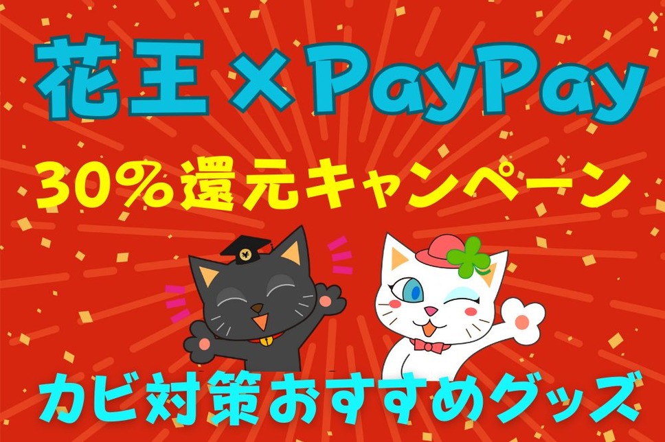 花王×PayPay 