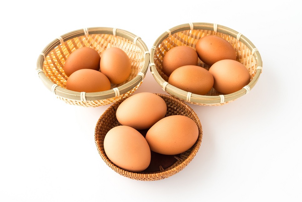 「卵は1つの籠に盛るな」複数のバランス型投信に投資