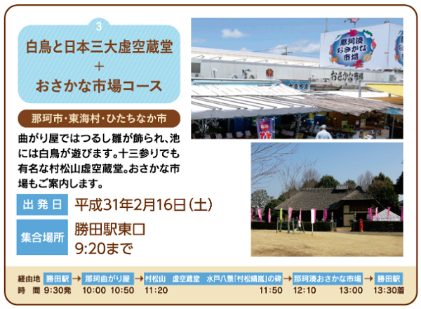 白鳥と日本三大虚空蔵堂+おさかな市場コース