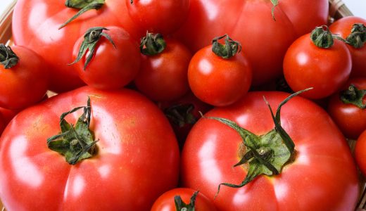 ふるさと納税「トマト」の人気ランキング！おすすめの「トマト」定番返礼品をチェック