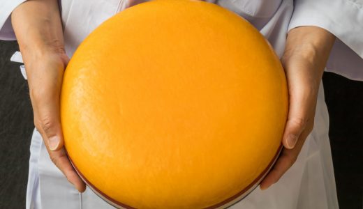 ふるさと納税「チーズ」の人気ランキング！おすすめの「チーズ」定番返礼品をチェック