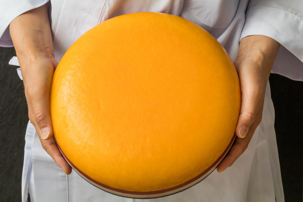 ふるさと納税「チーズ」の人気ランキング！おすすめの「チーズ」定番返礼品をチェック - ふるさと納税の達人2021
