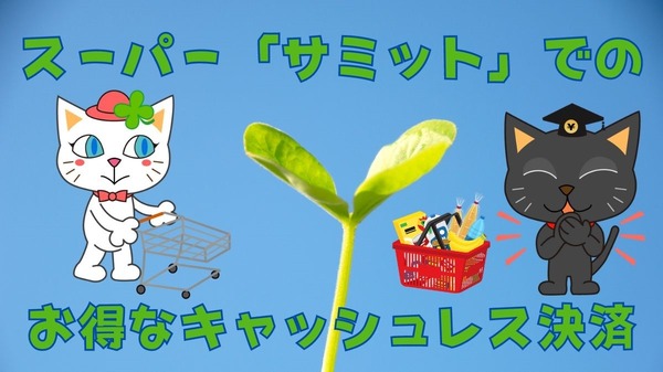 スーパー「サミット」でのお得なキャッシュレス決済 LINE Pay