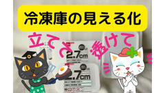 【冷凍庫の化石化問題】ダイソーの「立てて置ける保存容器＆厚さ2.7cm薄型保存容器」　おかず見える化で食費節約 画像