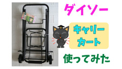 話題のダイソー「キャリーカート」の実際　合わせて買うべきアイテム 画像