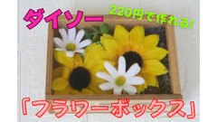 【ダイソー】220円で作れる「フラワーボックス」がかなり優秀　実際に作ってみました 画像