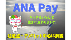 「ANA Pay」7つの注意点　ANAカードで支払った方がいい場合も 画像