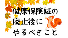 健康保険証の廃止後にやるべきことは、年金手帳の廃止後と同じである 画像