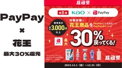 【PayPay×花王】最大30％還元キャンペーン　2つの注意点と付与されるポイントの確認方法 画像