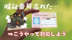 マイナンバーカードの署名用パスワード（6桁以上）がわからない…自分で初期化する方法と、結局区役所で手続きして得たメリット 画像