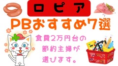 食費2万円台の節約主婦が選ぶ「ロピア」のPBおすすめ7選　鶏むね肉6枚、49円/100gなど 画像
