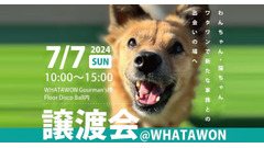大阪岸和田で保護犬・保護猫譲渡会、ワタワンわんマルシェ開催　施設内ペットの同伴可能！ 画像