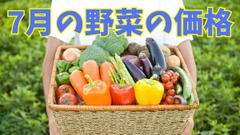 【7月の野菜の価格】レタス・ブロッコリーが安い！　農林水産省より野菜の生育状況及び価格見通し発表 画像