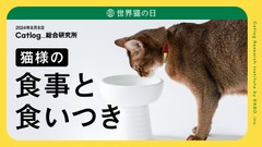 猫サマ、夏は食欲ないのです…「猫様の食事と食いつき」関する調査結果 画像