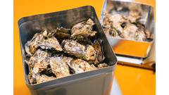 【1日1組限定で驚愕の牡蠣6,340g！？】超特大ガンガン焼き「武蔵」を期間限定販売愛知県の「ウッドデザインパーク野間」 画像