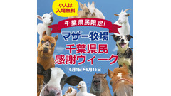 6/15は「千葉県民の日」　鴨川シーワールドでは入館料割引、マザー牧場は子ども入場無料！ 画像