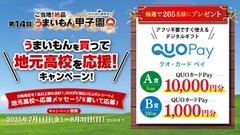 1,000円の買い物でQUOカードPay1万円GET？高校生の夢を応援するキャンペーン 画像