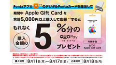 【BIPROGY】ローソンでAppleギフトカード購入するとQUOカードPay 5%還元！ 画像