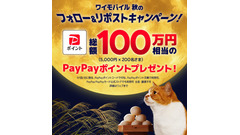 9/22~ PayPayポイント2,000円相当が500名に当選！ワイモバイルXキャンペーン 画像