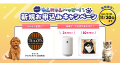 ペット保険加入でタリーズギフトなど当たるキャンペーン開催！アイペット損害保険 画像