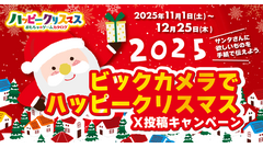 ビックカメラ「サンタさんへの手紙」をXに投稿するクリスマスキャンペーン 画像
