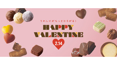 【2026年最新】シャトレーゼのバレンタイン、定番人気のトリュフ・チョコケーキ・ギフトの値段と内容を徹底解説！ 画像