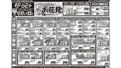 【ロピアチラシ】お花見にうれしい特売が満載！サーモン・いちご・焼鳥盛り合わせなど注目商品をチェック（3月23日まで） 画像