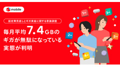 毎月7.4GBのギガを無駄にしている？メルカリ「固定費見直しとギガ資産」調査 画像
