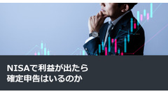 NISAで利益が出たら確定申告はいるのか 画像