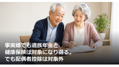 事実婚でも遺族年金と健康保険は対象になり得る。でも配偶者控除は対象外 画像