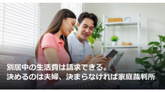 別居中の生活費は請求できる。決めるのは夫婦、決まらなければ家庭裁判所 画像