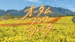 くじゅう花公園「オータムフラワーフェスタ」9月12日開催 7万株のマリーゴールドが咲く天空の花畑 画像