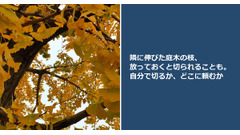 隣に伸びた庭木の枝、放っておくと切られることも。自分で切るか、どこに頼むか 画像