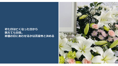 初七日は亡くなった日から数えて七日目。葬儀の日にあわせるかは菩提寺と決める 画像