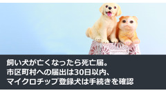 飼い犬が亡くなったら死亡届。市区町村への届出は30日以内、マイクロチップ登録犬は手続きを確認 画像
