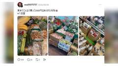 「東京でこんなけ買って2,000円はありがたすぎる」八百屋通いの投稿が話題、単身の食費データで検証 画像