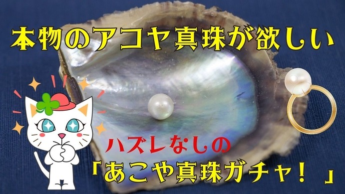 大量【天然アコヤ真珠】2500ct パール ルース おまとめ | GRUNDSCHULE 