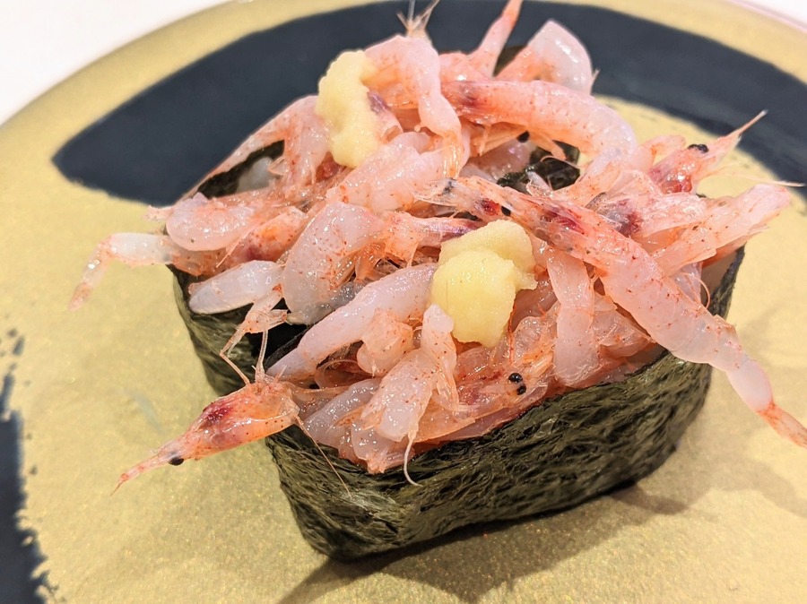 春限定の桜えび軍艦