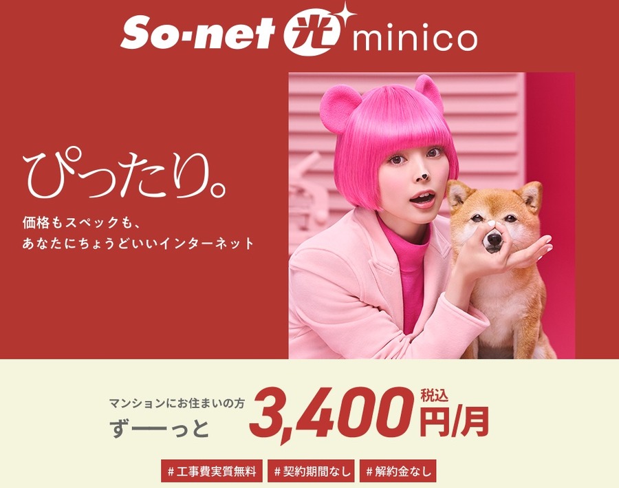 So-net光 minico