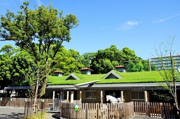 板橋こども動物園