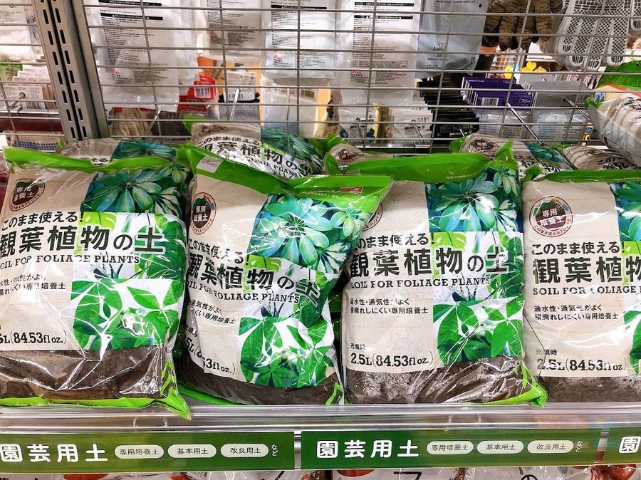 観葉植物用の土